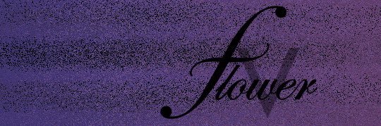 Lullip banner