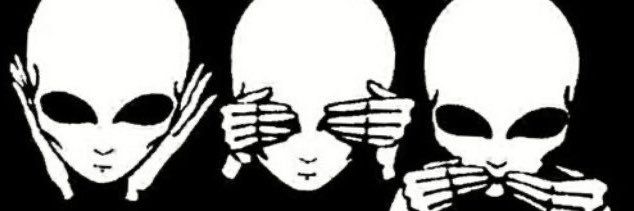 siliencednina's profile banner image