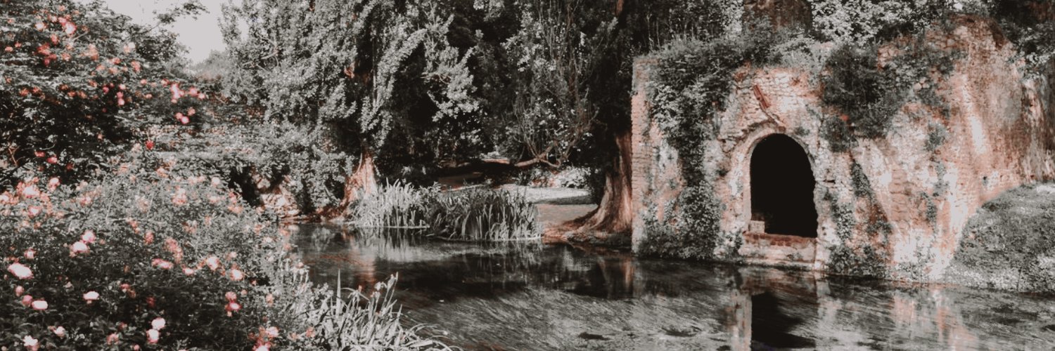 ‍‍ ‍ ‍ ‍⋆ ‍ ‍𓉸 ‍ ‍˙ ‍ ‍⟡ ‍ ‍RHAE banner