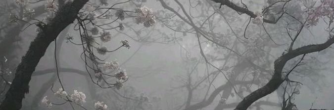 andrxamr_'s profile banner image