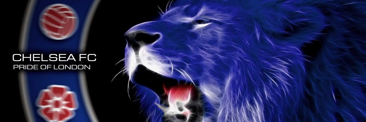 Blue Capitalist banner