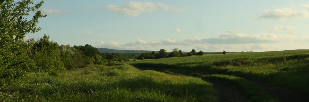 daritychingle's profile banner image