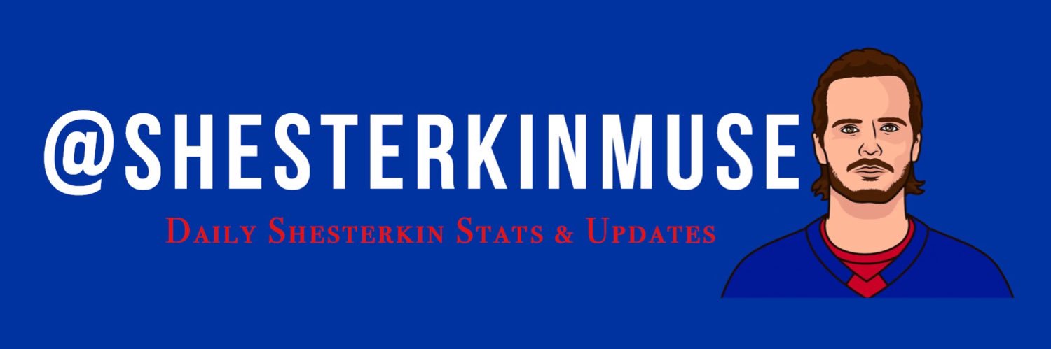 shesterkinmuse's profile banner image
