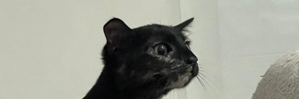 migikedisi's profile banner image