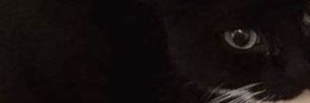 Evgeniy banner