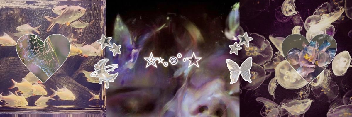 callsignarcadia's profile banner image