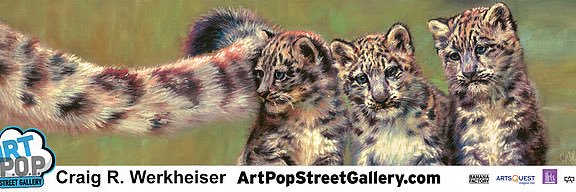 Craig Werkheiser banner