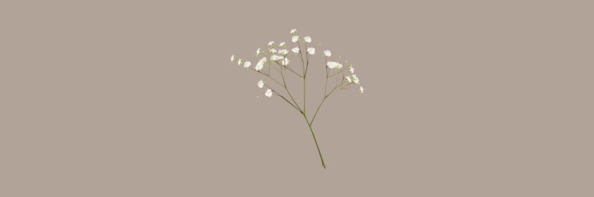 ❀・𝓢𝚄𝙼𝙸𝙰 .ᐟ banner
