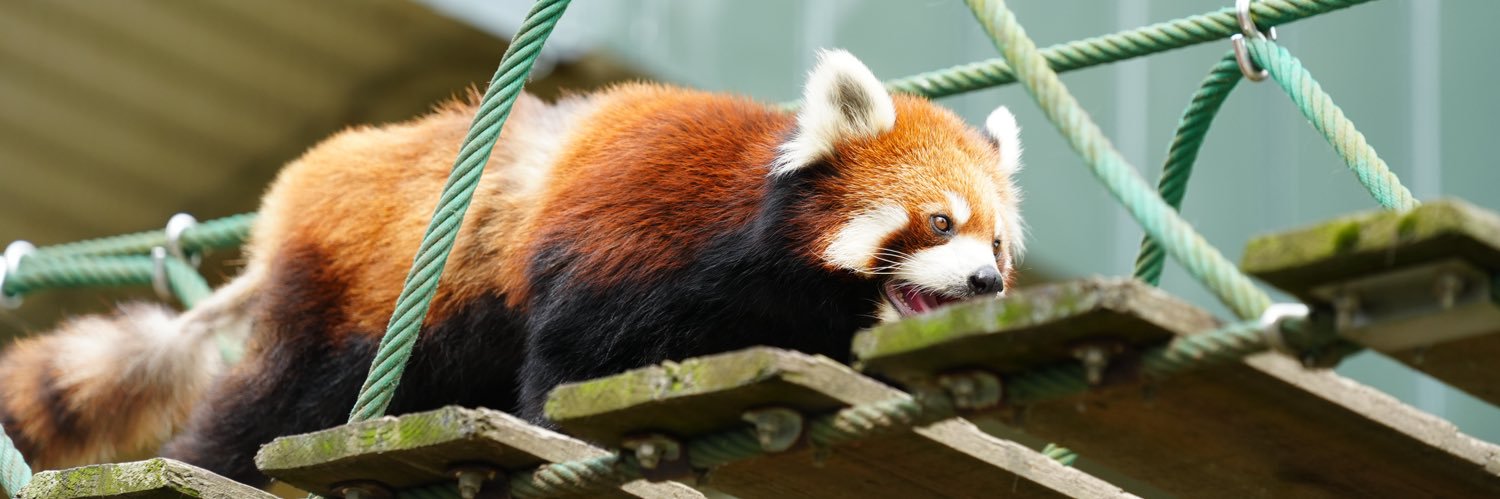 浣上不睡覺 banner