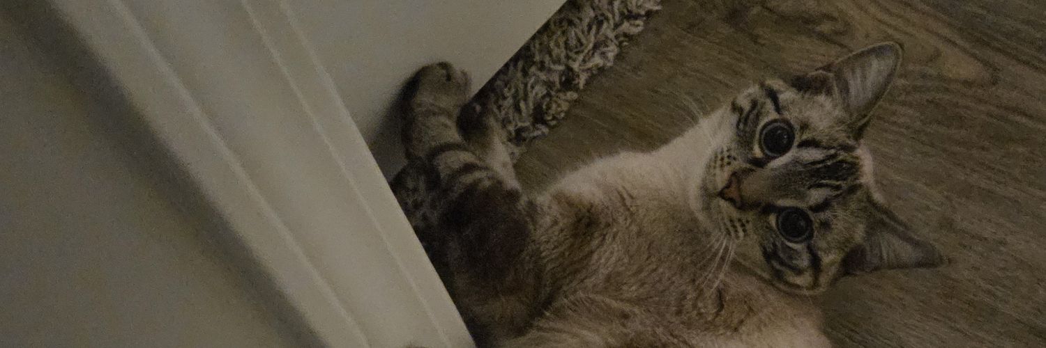 SigmaMale+AlphaWolf+SugarDaddy+100Rizz banner