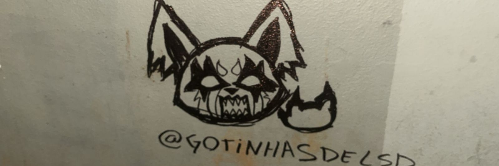 gotinhasdelsd's profile banner image