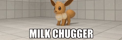 LANKS banner