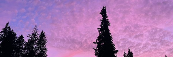 SBeakster Profile Banner