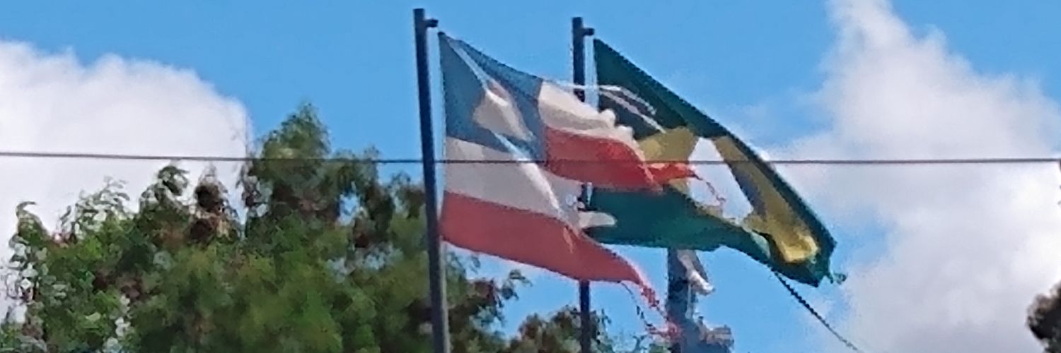 mvitorinossa's profile banner image