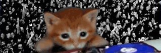 haydée e ee e e banner