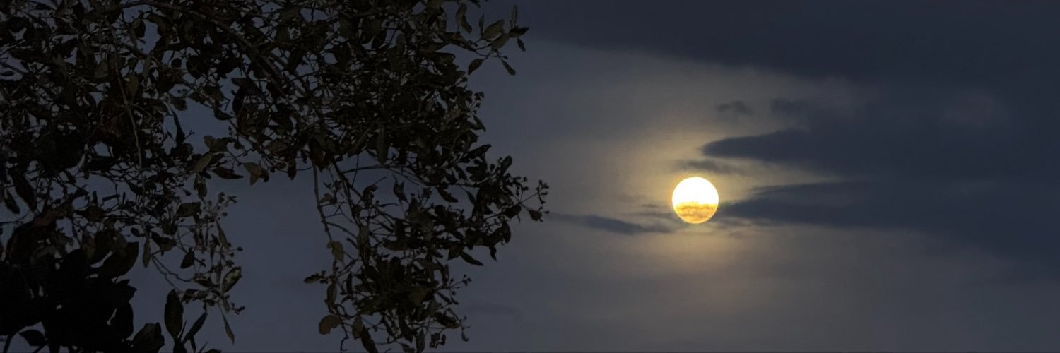 WEDW00's profile banner image