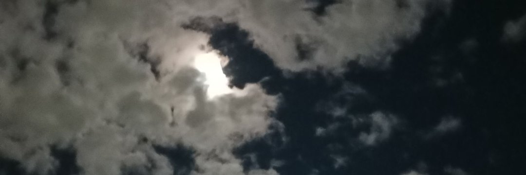 ㅁ뇨 (이새끼 뒤짐?) banner