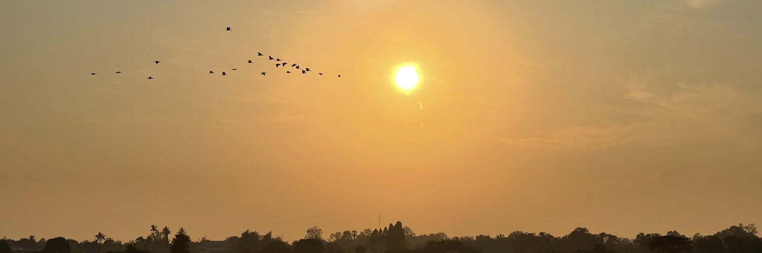 Songponbird's profile banner image