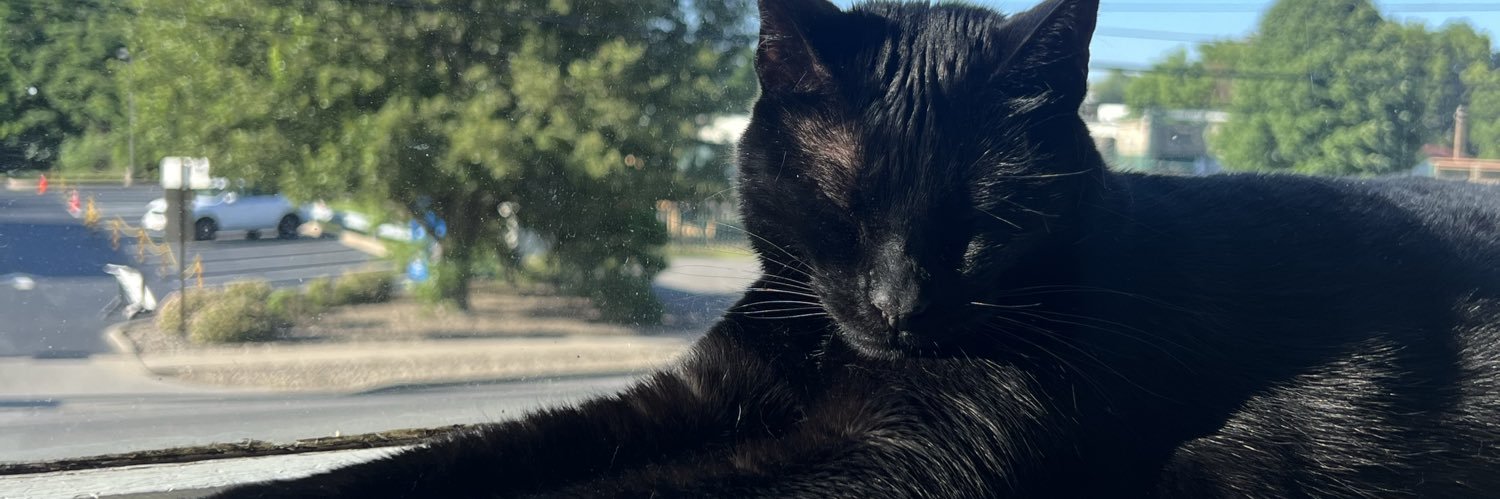 alibower11's profile banner image