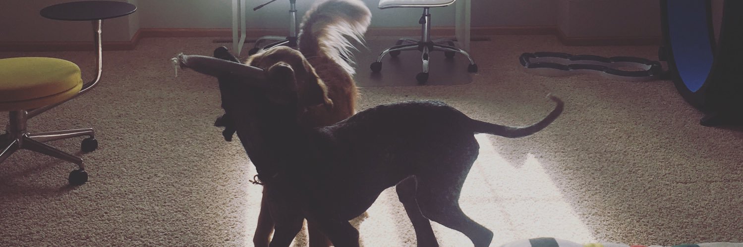 Brittany Hagan banner