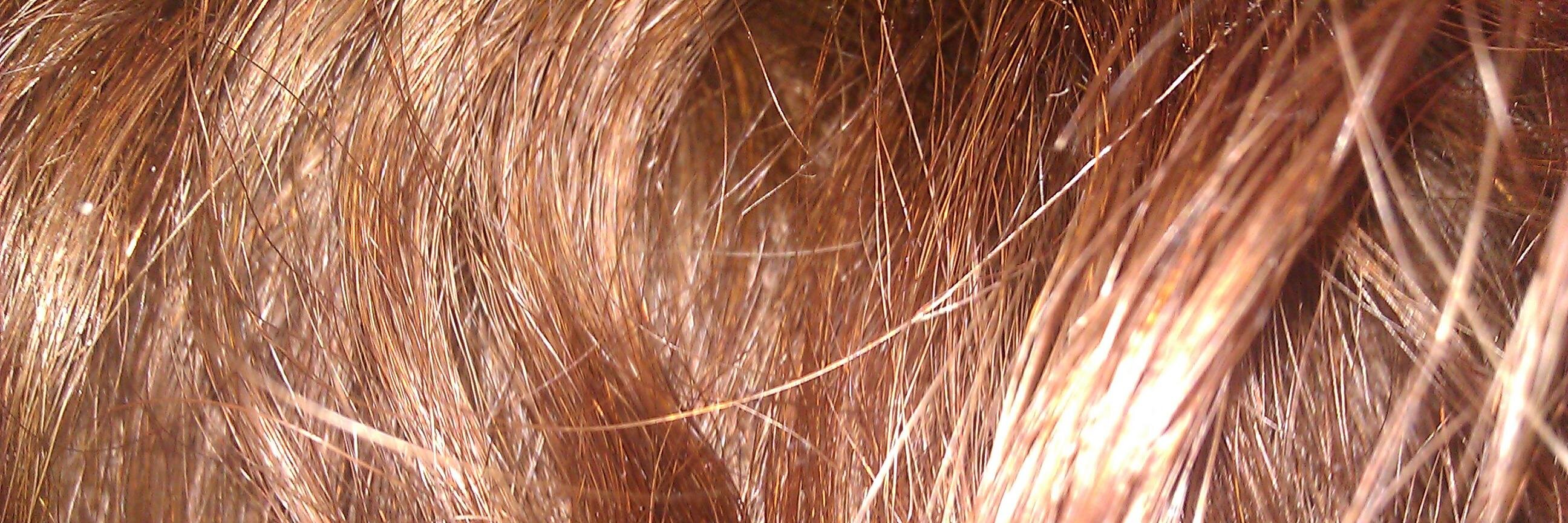 oscarcuevas's profile banner image