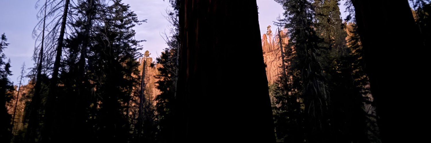 lill 💫 banner