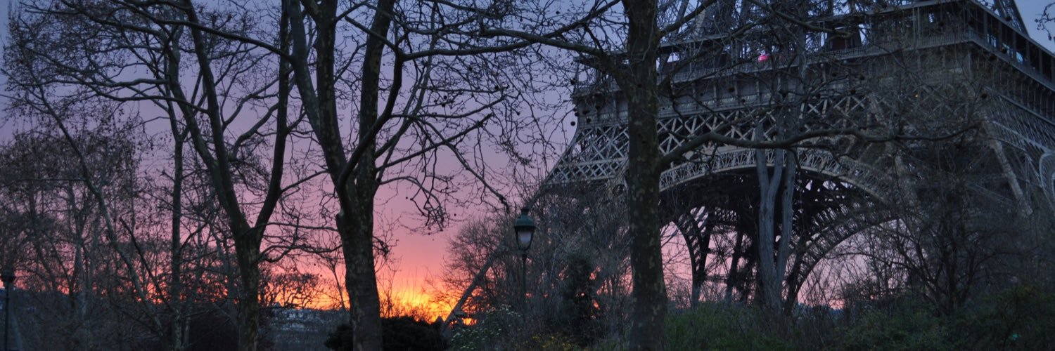 briaguinski's profile banner image