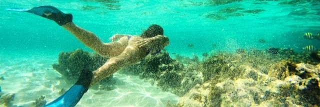 COSTABikinis's profile banner image