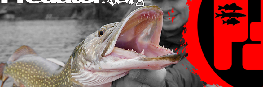predat0rfishing's profile banner image