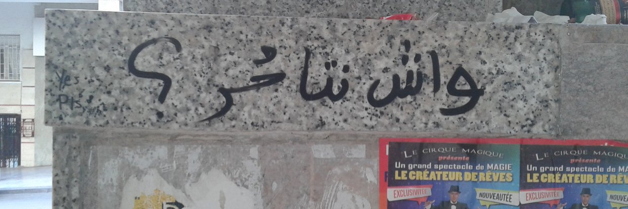 BarkingWatchDog banner