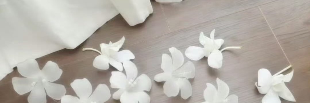 呆呆 banner
