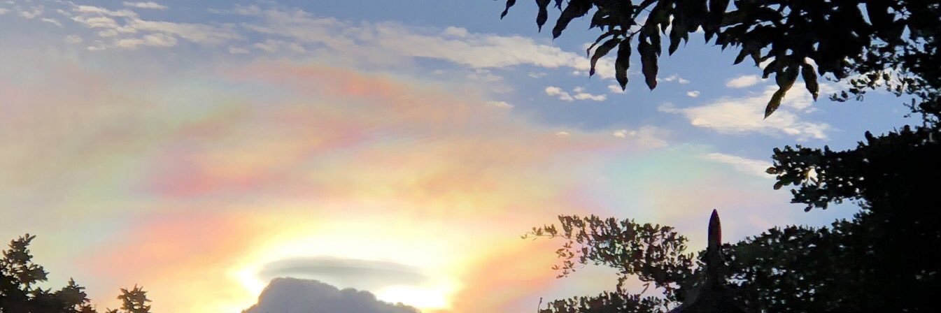 mnminfly's profile banner image