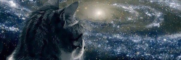 𝐴𝑛𝑔𝑒𝑙 banner