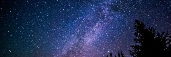 Sakuraytb_ Profile Banner