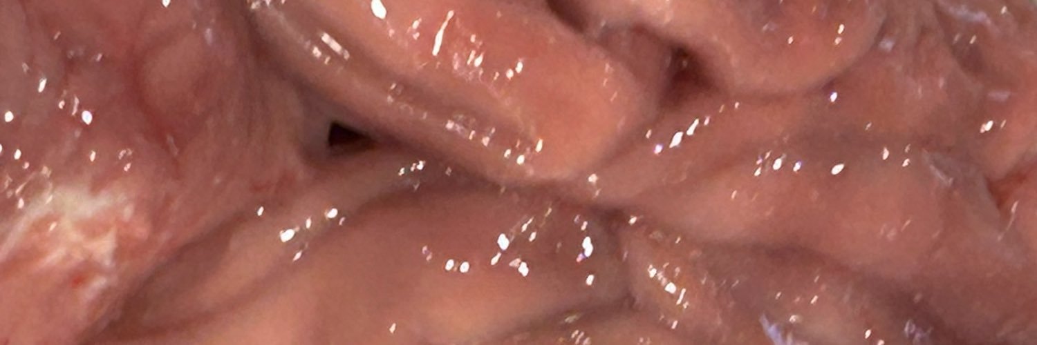 Moris1fj's profile banner image