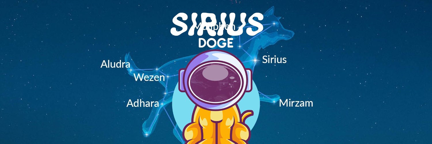 SiriusDoge_sol's profile banner image
