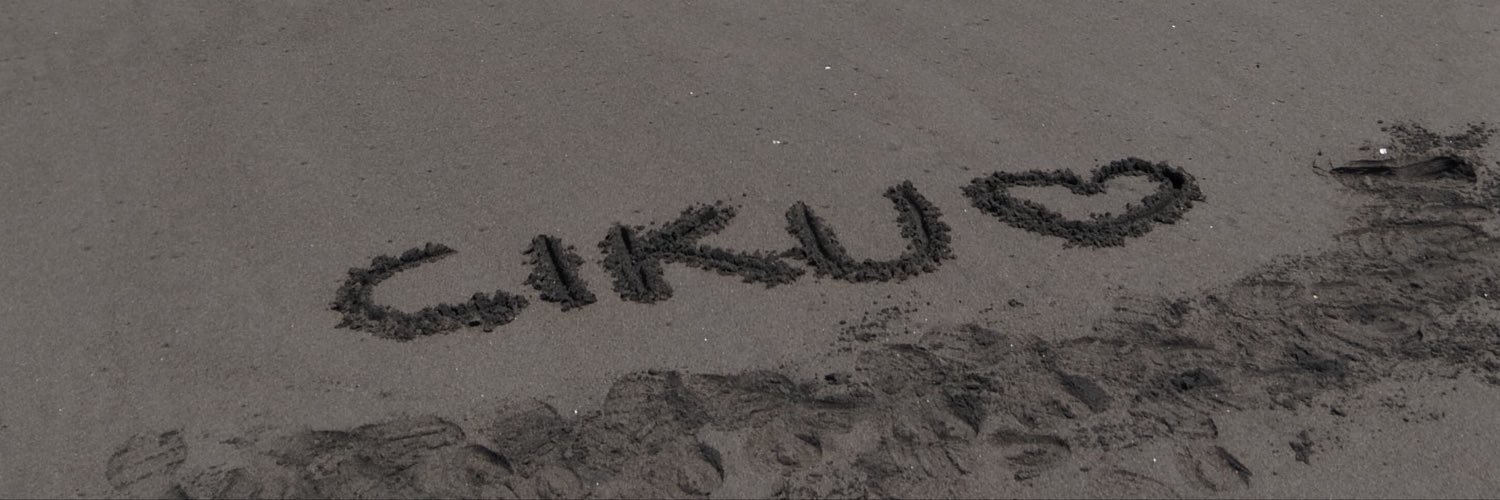 shushirebus06's profile banner image
