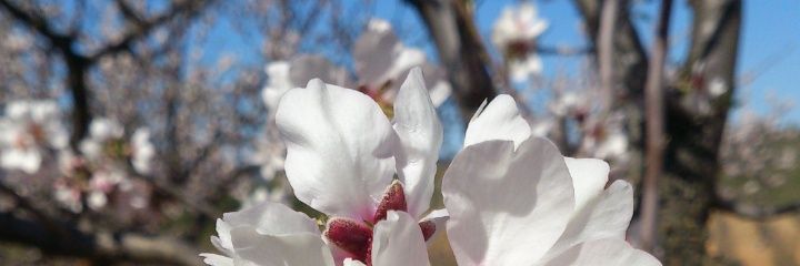 santi_lear's profile banner image
