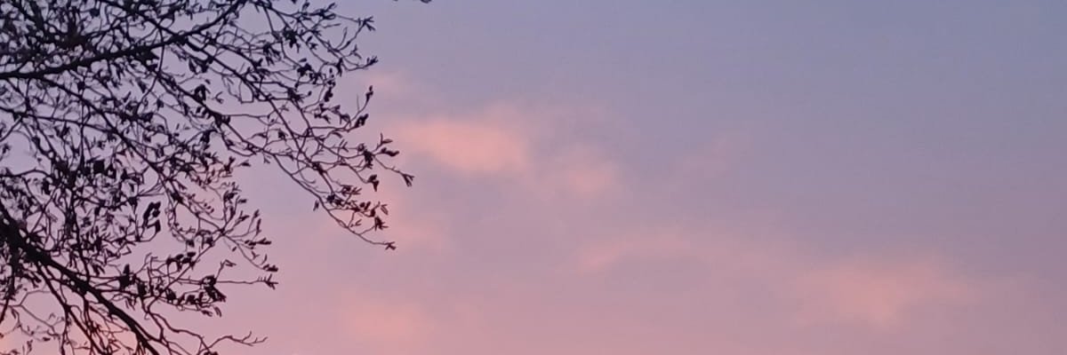 wordsofjh's profile banner image