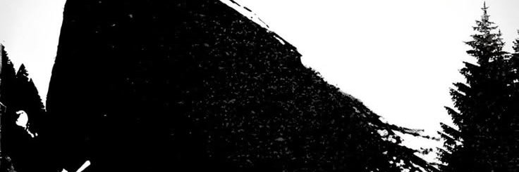 Ghonushter's profile banner image