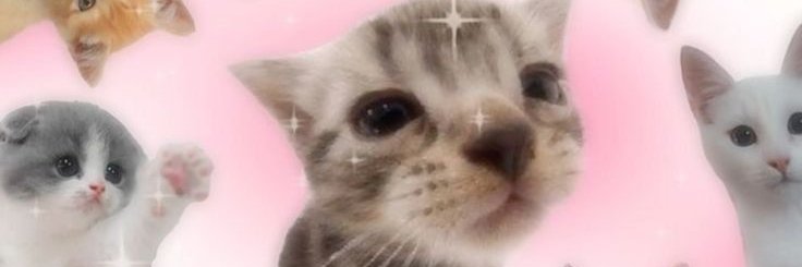 crayonaca's profile banner image