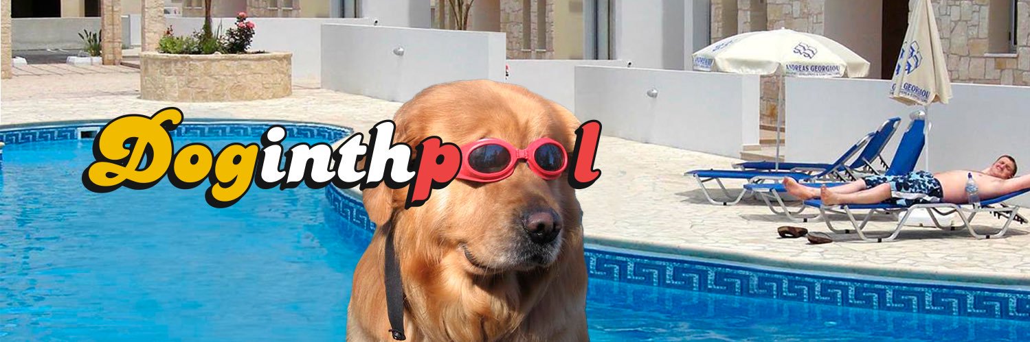 doginthpool banner