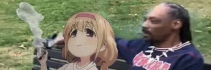 passarin ovudo banner