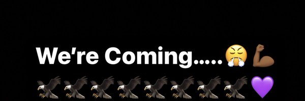 rhsladyeaglestf Profile Banner