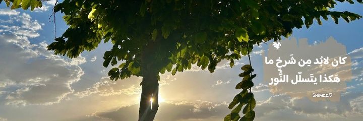 Sнiмαα🦋's banner