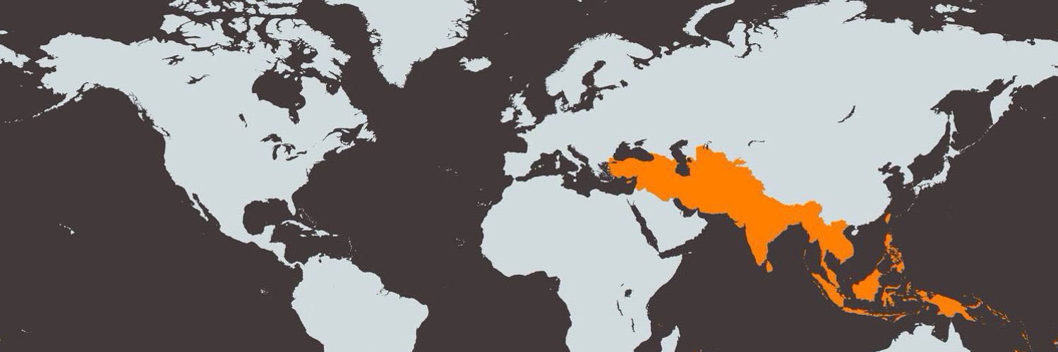 शून्य 🚩 banner