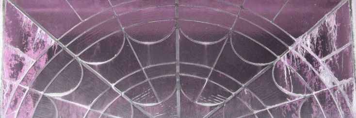 𝐡𝐚𝐦𝐬𝐭𝐞𝐫🪐🍄 banner