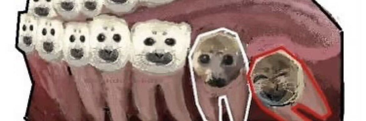 감셍이탕탕이 banner