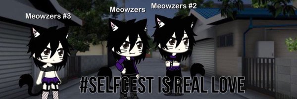 Meowzers Profile Banner