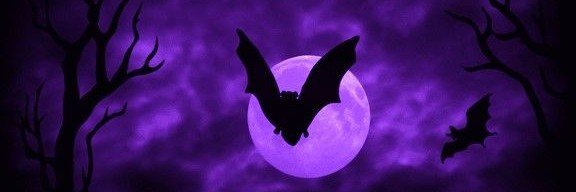 S_vampss's profile banner image